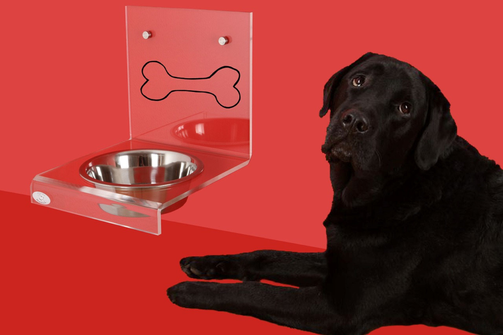 was dürfen Hunde nicht fressen