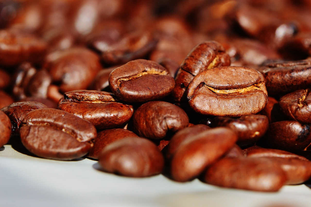 für hunde ist koffein schlecht
