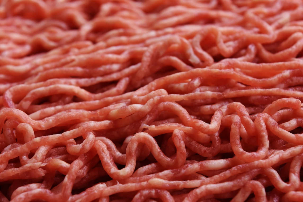 rohes fleisch und roher fisch für hunde schlecht